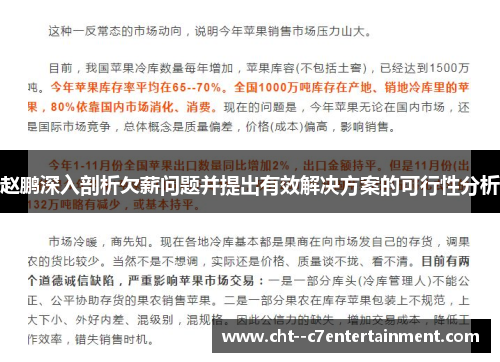 赵鹏深入剖析欠薪问题并提出有效解决方案的可行性分析
